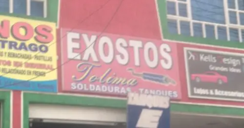 EXOTOS TOLIMA BOGOTÁ EXOTOS TOLIMA BOGOTÁ